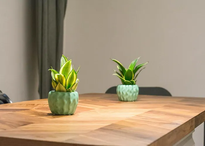 Appartamento Without Kitchen And Romiru *