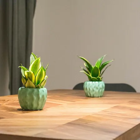 Apartamento Without Kitchen And Romiru *